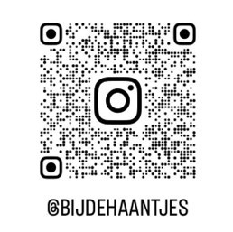 Instagram account bijdehaantjes